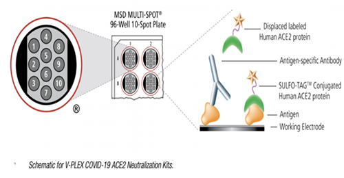 mRNA疫苗剖析_生物剖析手艺_电化学发光-BJL平台生物医药