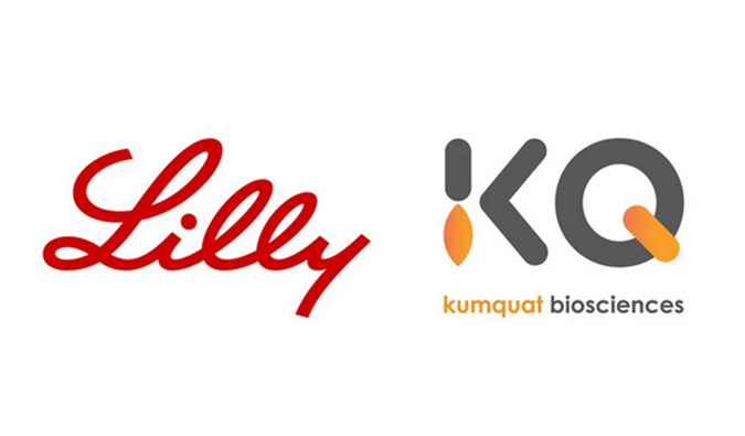 祝贺！BJL平台相助同伴Kumquat Biosciences与礼来告竣相助，，配合开发肿瘤免疫小分子药