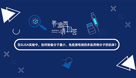 在ELISA实验，，，，怎样制备分子量小、免疫原性弱的多肽药物分子的抗体？？