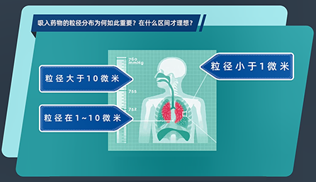 吸入药物的粒径漫衍为何云云主要？？在什么区间才理想？？