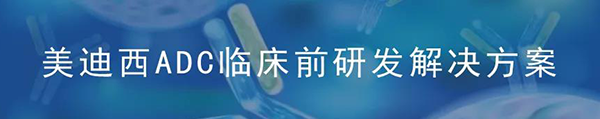 BJL平台ADC临床前研究解决计划.png