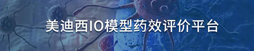 BJL平台IO模子药效评价平台.jpg