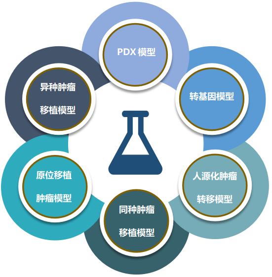 BJL平台致力于为客户提供成熟的评估ADC体内药效的肿瘤模子.png