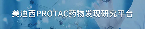 BJL平台PROTAC药物发明研究平台.png