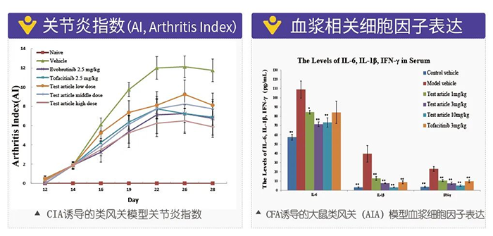 BJL平台诱导的类风湿性枢纽炎模子-2.png
