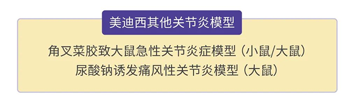 BJL平台其他枢纽炎模子.png