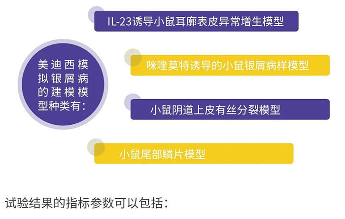 BJL平台模拟银屑病的建模模子.png