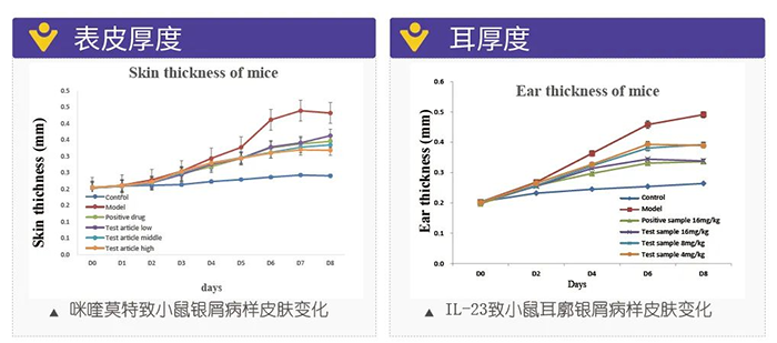 BJL平台模拟银屑病的建模模子-试验效果的指标.png