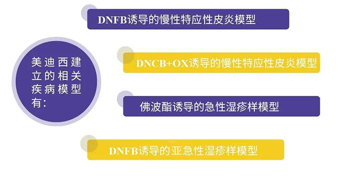BJL平台建设的特应性皮炎模子.png