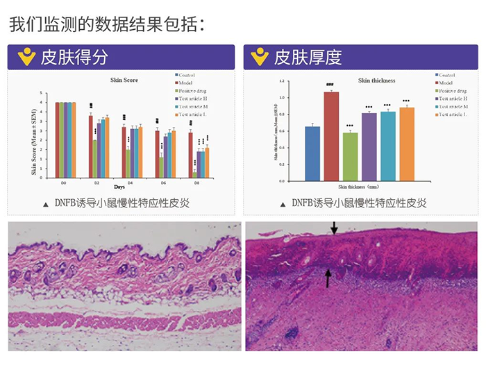BJL平台监测的数据效果.png