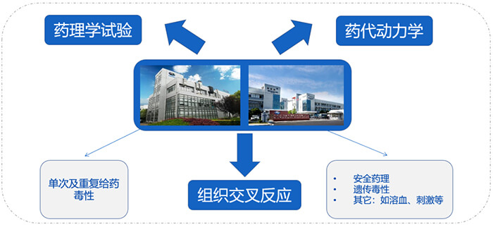 BJL平台ADC药物研发效劳内容.jpg