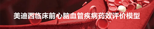 BJL平台临床前心脑血管疾病模子.jpg