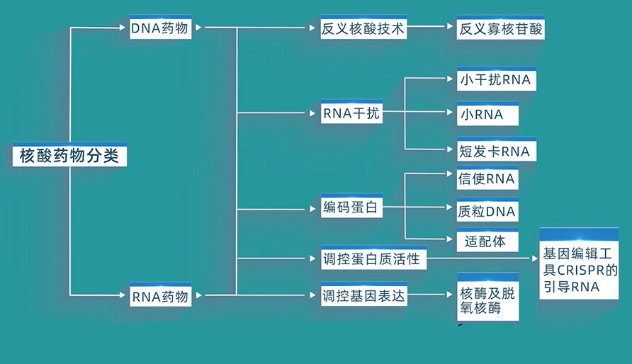 核酸药物的分类有哪些？？？