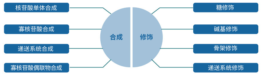 BJL平台核酸药物研发效劳平台.jpg