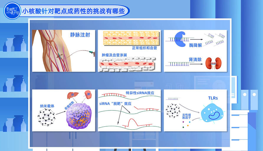 小核酸针对靶点成药性的挑战有哪些？？？？