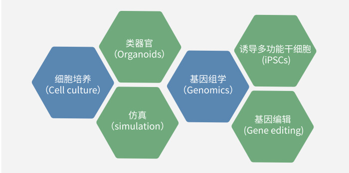 六大手艺板块已上线，，一连升级中.jpg