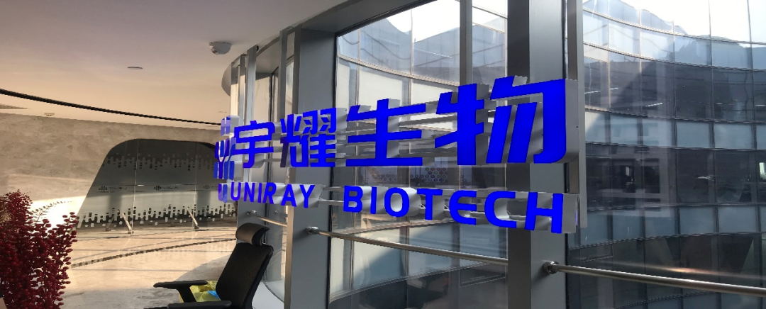 BJL平台助力 | 宇耀生物STAT3双磷酸化位点抑制剂YY201乐成完成中美双报
