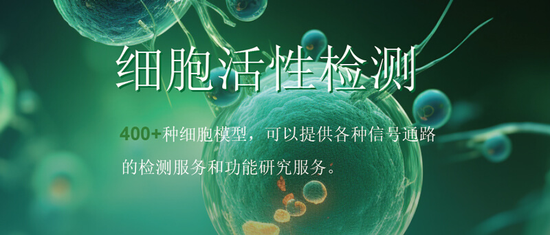 BJL平台细胞活性检测.jpg