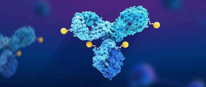 天下肿瘤日聚焦：AACR年会引领全球肿瘤新药趋势，，，，，，国产药引领风潮