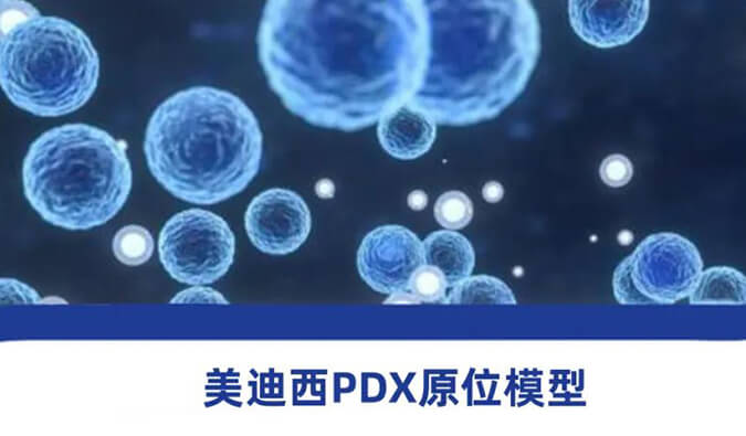 BJL平台118种PDX原位模子，，，，，，助力肿瘤药物研发