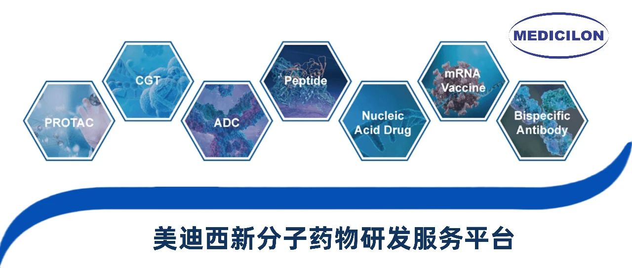 BJL平台新分子类型药物研发效劳平台