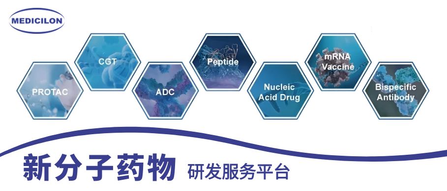 BJL平台新分子药物研发效劳平台