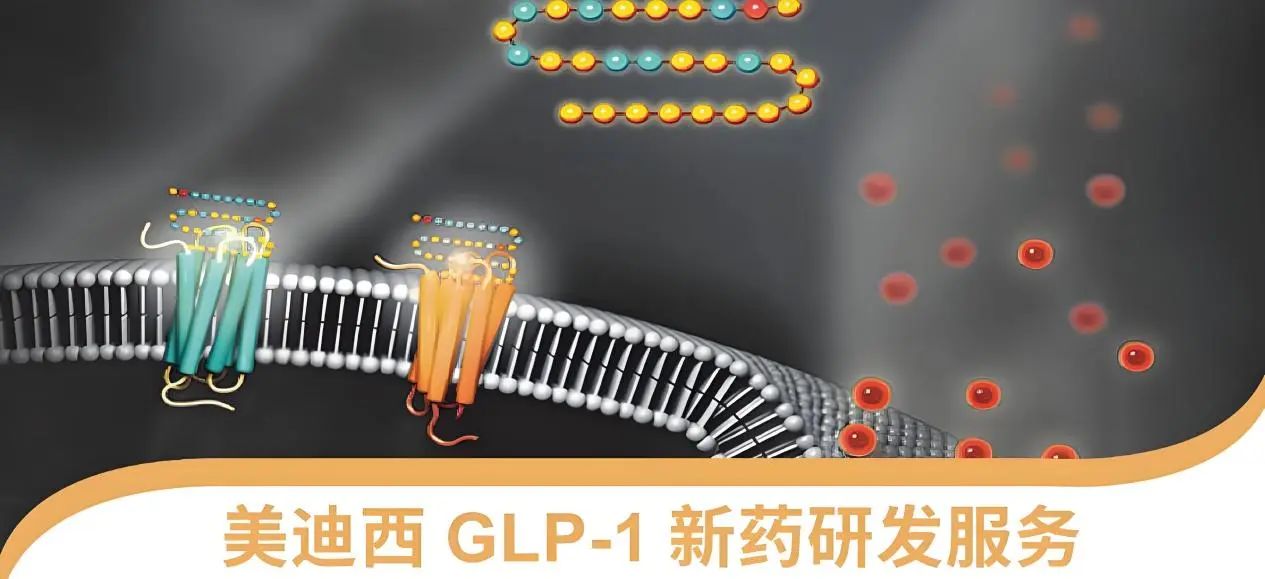 70.5%的成人正在悄悄长胖！国家卫健委“减肥令”下，，GLP-1药物怎样突围？？